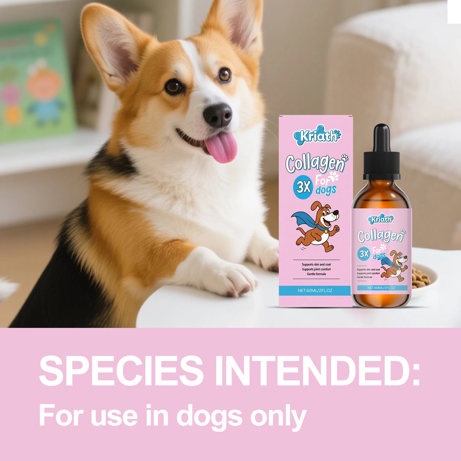 Pet Collagen Drops Effectively Maintain Cartilage Health Support Joint Mobility Promote Joint Lubrication Pet Dietary Supplement